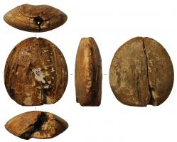 EPE-4016 - Pommeau d'épée
ivoire
TPQ : 200 - TAQ : 500
Pommeau ovoïde, de section ovale, traversé d'une perforation axiale pour le passage de la soie.