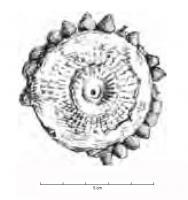 FIB-3554 - Fibule discoïdale
bronze
TPQ : -475 - TAQ : -400
Fibule discoïdale, à décor de cerces ou lignes de points concentriques, parfois sur le pourtour une ligne de perles rivetées (os ou corail) ; le ressort et le porte-ardillon, entièrement cachés par le disque, sont rivetés au centre de ce dernier.