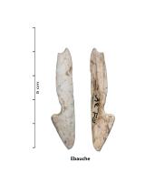 HAM-0001 - Hameçon courbe en os avec ardillon
os ou ivoire
Hameçon courbe avec ardillon taillé dans un os ou parfois de l'ivoire ou du bois de cervidé auquel il était fixé un lien en fibre végétale (ortie, lin, liber de tilleul..). Technique de fabrication par perforation.