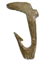 HAM-0003 - Hameçon
os ou bois de cerf
Hameçon courbe avec ardillon taillé dans un os ou du bois de cervidé auquel il était fixé un lien en fibre végétale (ortie, lin, liber de tilleul..). Technique de fabrication par perforation.
Possède un aménagement supérieur courbe pour retenir le lien, ou une gorge de fixation.