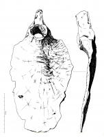 HOU-4016 - Houe
fer
Houe à lame trapézoïdale et œil circulaire avec un court tranchant vertical à l'autre extrémité.