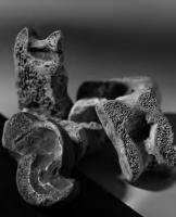 IND-3066 - Astragale tranchée ou râclée
os
astragale dont une ou plusieurs faces ont été abrasées ou coupées pour obtenir des faces rectilignes, mais laissant apparaître l'os spongieux.