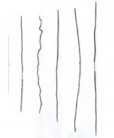 IND-4205 - Tige effilée
bronze
TPQ : 1 - TAQ : 500
Longue et mince tige de section ronde, effilée à chaque extrémité, dépassant souvent 200 millimètres de longueur.