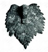 PDH-4020 - Pendant de harnais à crochet
bronze
Pendant de harnais à crochet, en forme de feuille au contour très découpé.