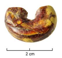 PRL-3523 - Perle annulaire massive en ambre 
ambre
TPQ : -120 - TAQ : -30
Perle annulaire massive (D. perforation < D. section), de section plano-convexe (en D) à perforation de très petit diamètre (3-4 mm)