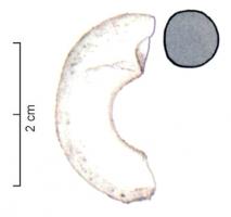 PRL-3582 - Perle annulaire massive : unie - gr. Haev. 21
verre
TPQ : -120 - TAQ : -30
Perle annulaire massive (D. perforation < D. section) en verre opaque blanc (base complexe : blanc, incolore, fil jaune, blanc opaque).