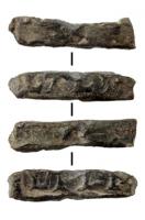 TES-4107 - Tessère rectangulaire : LTLP
plomb
Plaquette de plomb parfaitement rectangulaire avec perforation plate transversale, écrasée par l'apposition d'une marque estampée dans un cartouche rectangulaire : LTLP.