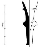 VAB-9003 - Verre à tige pleine pincée
verre
Verre à boire avec une tige pleine épaisse dont le bouton est pincée, formant des godrons.