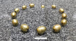 COL-3005 - Collier à grosses perles orCollier à 13 perles creuses ovoïdes décorées de cercles striés