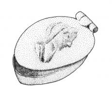 BTS-4170 - Boîte à sceau de forme ovalebronzeTPQ : 80 - TAQ : 150Boîte à sceau de forme ovale ; sur le couvercle, dont le sommet forme une fenêtre repliée vers la face supérieure, buste de femme voilée (ou de prêtre), tourné vers la droite, embouti et en léger relief.