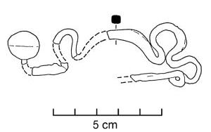 FIB-2027 - Fibule serpentiforme à pied redresséferFibule serpentiforme à pied redressé terminé par une sphère creuse ; arc courbe à section quadrangulaire ou aplatie, montrant une boucle vers le pied et deux boucles juxtaposées devant le ressort.