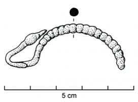 FIB-3540 - Fibule laténienne à pied redressé et nodositésbronzeTPQ : -450 - TAQ : -300Fibule à arc en anse de pannier, constitué d'une succession de nodosités régulièrement juxtaposées. L'extrémité du pied redressé forme, au contact de l'arc, une succession de moulures généralement aplaties en-dessous.