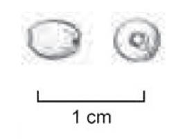 PRL-4023 - Perle ovoïde à cylindrique verteverrePerle de petite de dimension ovoïde à cylindrique, trapue, bords adoucis au feu; teinte verte.
