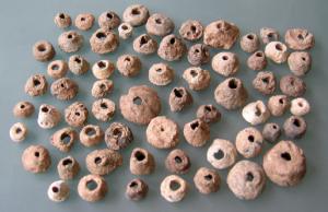 LSL-4006 - Plomb de pêche tronconiqueplombObjet circulaire, de profil tronconique mais parfois surbaissé, voire aplati. La face inférieure est plane mais le profil extérieur très variable, et parfois concave.