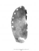 BSD-9001 - Fer à bœufferFer plein en forme de demi-cercle, avec des étampures de nombre variable sur la rive externe et une rive interne pliée à angle droit. Ces fers fonctionnent par paire sur un sabot de boeuf ou de vache.
