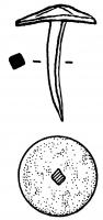 CLN-4001 - Clou de navire en cuivrecuivreClou long de 2 à 4cm, en cuivre, dont le revers de la tête est pourvu d'aspérités destinées à faciliter l'adhésion sur la feuille de plomb qui protégeait les coques de navires ; revers illisible (corrodé), ou inconnu.