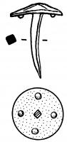CLN-4003 - Clou de navire en cuivrecuivreClou long de 2 à 4cm, en cuivre, dont le revers de la tête est pourvu d'aspérités destinées à faciliter l'adhésion sur la feuille de plomb qui protégeait les coques de navires ; revers avec 4 globules.