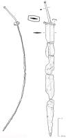 EPE-3037 - Glaive de type gladius hispaniensisfer, boisÉpée à lame longue (entre 55 et 70 cm), à tranchants parfois sinusoïdaux, longue pointe effilée à angle aigu (entre 15 et 25°) ; la poignée montée sur une soie de section quadrangulaire s'appuie sur un épaulement horizontal ; elle se compose de trois éléments permettant de caler la main de l'utilisateur entre garde et pommeau ; les éléments métalliques sont de forme variée selon les exemplaires. Le fourreau en bois est maintenu par des gouttières latérales reliées par des barrettes, dont les deux supérieures sont équipées d'anneaux de suspension.
