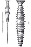 EPG-1091 - Epingle à tête évasée : type de CourtavantbronzeEpingle à tête évasée non décorée, à sommet plat ; col très court séparant la tête du renflement orné de nervures et de rainures horizontales ; variante b à fort renflement orné de colerettes. 
