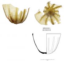 GOB-5001 - Gobelet Feyeux 55.3verreTPQ : 550 - TAQ : 600Gobelet tronconique à fond arrondi, orné de côtes moulées se rejoignant sur le fond. Bord adouci au feu.
