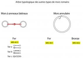 MRS-4000 - Classement typologique des mors de la période romainenon avenuCette typologie suit l’étude d’Annabelle Vessiller lors de son mémoire sur les mors de la Gaule.

Cette typologie est organisée sous une certaine hiérarchie :
	Mors regroupés par période.
	Périodes divisées par familles : ce qui entoure le canon (anneau, applique, bride ou filet).
	Familles divisées par groupes (pas obligatoire en fonction des types) : la forme du canon ou le matériau.
	Groupes divisés en types : le matériau ou la forme.
	Distinction en variantes : les différences de forme ou de décor à l’intérieur du type.

Les mors de la période romaine sont divisés en trois familles :
•	Les mors à anneaux latéraux
•	Les mors à appliques latérales
•	Les mors annulaires

Les mors à anneaux latéraux :

o	Les mors à canon brisé en fer (MRS-4015)
-Variante a : Canon lisse
-Variante b : Canon mouluré
-Variante c : Canon torsadé

Les mors à appliques latérales :

o	Appliques circulaires en bronze à bélière rectangulaire et ouverture centrale (MRS-4001)

o	Appliques en bronze en trapèze à deux bélières et décor central (MRS-4030)

o	Appliques en fer et bronze circulaires à deux bélières et décor central ajouré (MRS-4002) :
- Var a : Décor de volutes
- Var b : Décor symétrique inscrit dans un cercle 
- Var c: Attaches trapézoïdales à volutes 
- Var d : Motif de feuilles ajourées
- Var e : Décor à peltes
- Var f : Décor à triskèles
- Var g : Décor à volutes inversées

o	Applique en forme de croix à 4 branches avec des liaisons à boucles, l’une quadrangulaire et l’autre circulaire. Ce type est accompagné d’un étrier passant sur le museau (MRS-4011).

Les mors annulaires :

o	Mors annulaire en bronze (MRS-4032)

o	Mors annulaire en fer (MRS-4031)
