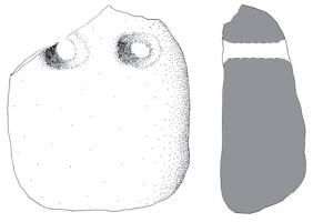 PSN-2003 - Peson modeléterre cuitePeson de forme oblongue, sans angles vifs, légèrement élargi à la base et percé de deux orifices transversaux dans la partie supérieure.