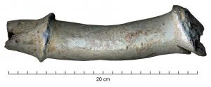 TUY-4001 - TuyauplombTuyau formé par le repliement longitudinal d'une feuille plus ou moins large, avec une soudure sommitale donnant le profil 