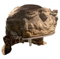 CSQ-4009 - Casque de type Weilerfer, bronzeCasque au timbre de fer recouvert d'un placage de tôle généralement étamée, ornée de motifs estampés reproduisant les mèches de la chevelure et souvent une couronne ou diverses décorations ; légère découpe d'oreille, cette dernière étant en revanche figurée sur les paragnathides qui sont également décorées de reliefs ; nuque verticale avec un léger couvre-nuque pouvant former un angle droit avec le timbre.