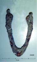 ETP-3001 - Etampe en fer pour bouterolleferObjet de section pleine, de la forme d'une bouterolle à pinces, courte et sans ajours. 