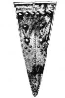FIB-41236 - Fibule à charnièreargentGrande fibule à arc triangulaire plat, charnière repliée vers l'extérieur. L'arc est recouvert de motifs géométriques obtenus par l'alignement de coups de poinçon, et de bossettes également alignées ; le porte-ardillon est trapézoïdal et plein.