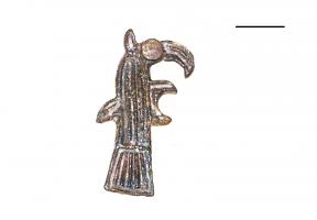 FIB-5013 - Fibule aviformebronzeFibule en forme de rapace stylisé : long bec crochu, œil rond, contour souligné de traits incisés. L'articulation se fait par un ressort en fer monté sur un axe et deux plaquettes coulées au revers de l'objet.