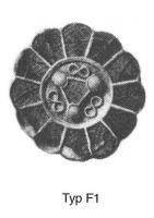 FIB-5254 - Fibule cloisonnée registre central filigranné et pierres Vielitz F1-F2argent, orFibule cloisonnée avec zone centrale composée de d'une plaque avec filigranes et ajout de perle et ou de grenat