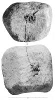 PDS-4480 - Poids en pierre de forme trapézoïdale : 11 libraepierrePoids de forme trapézoïdale parfois équipé d'une anse et/ou de logements pour des coulées de plomb afin d'ajuster la masse.