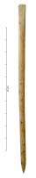 STY-4117 - StyletosSimple tige de section circulaire, comportant d'un côté une extrémité effilée et pointue, de l'autre une terminaison aplatie formant une spatule à bord perpendiculaire à l'axe général de l'objet.