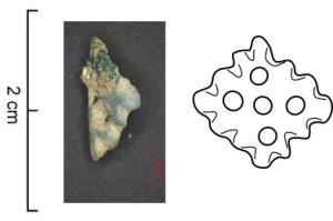 ACE-7043 - applique ajourée
cuivre
Tôle emboutie quadrangulaire dont les bords sont découpés (trois à quatre lobes) et la tôle perforée.