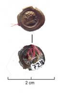 ACG-4024 - Bouton de cingulumbronzeBouton circulaire estampé, comportant une bordure lisse et un léger rebord rabattu, avec au centre un motif figuratif, souvent d'aspect monétiforme : ici, tête à gauche, bouclée