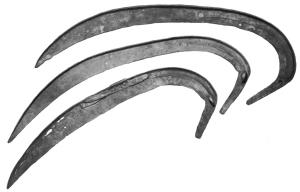 FLX-4001 - Faux de type NewsteadferFaux composée d'une lame large, d'abord courbe puis presque rectiligne vers la pointe, prolongée par une languette plate qui peut être, ou non, repliée à son extrémité, avec une rondelle pour la fixation du manche. La section assymétrique de la lame, avec une moulure d'un seul côté, est caractéristique des faux en général.