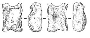 IND-8001 - Astragale tranchée ou râcléeosAstragale (le plus souvent, d'ovi-capriné ou de suidé) dont 1, 2 ou 4 faces ont été râclées ou tranchées, afin de régulariser le volume pour le rapprocher d'un parallélépipède.