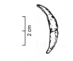 AML-2003 - Amulette : dent percéedentAmulette obtenue à partir d'une dent, généralement une canine, perforée pour a suspension. On note une séléction préférenteille d'animaux dangereux (canidés, fauves...).
