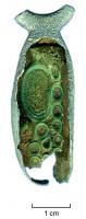 AML-3009 - Amulette : dent de poissonbronzeAmulette en bronze coulé, enserrant une dent de poisson ; la suspension est assurée par un anneau sommital coulé.