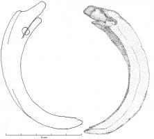 AML-4023 - Pendant à défenses de suidédent, ferPendant constitué de deux canines inférieures de suidé (porc ou sanglier), reliées par une double douille surmontée d'un anneau.