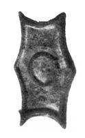 APH-4069 - Applique de harnais émailléebronzeApplique de harnais octogonale à côtés concaves, légèrement creuse au revers et ornée d'émaux champlevés : plusieurs variantes de loges concentriques, rondes ou losangiques, pour émaux (sans doute millefiori) ; deux rivets de fixation au revers.