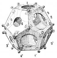 DOD-4001 - Dodécaèdre bouleté