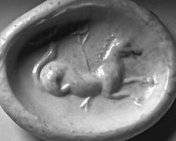 INT-4064 - Intaille : Hippocampe à dr., tridentpierre dureHippocampe à droite et trident.