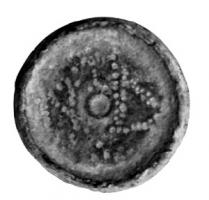 PDS-5048 - Poids circulaire : N Δ (4 nomismata)bronzePoids circulaire, sur une face une dépression inscrite de la valeur N Δ : nomismata 4.