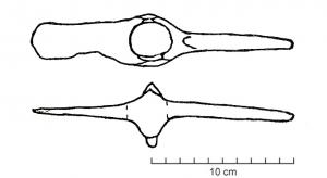 HOU-4022 - Pic-piocheferOutil double, à œil d'emmanchement circulaire accosté de quatre œillères arrondies; d'un côté, un pic à lame recourbée; de l'autre, une pioche à lame trapézoïdale.