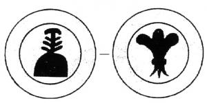 PDS-9174 - Poids de ville : MontaubanbronzePoids circulaire, moulé : A/. Saule terrassé à six branches effeuillées, initiales GB. R/. Fleur de lis sous la date, souvent la marque du fondeur I.I. sur un croissant.