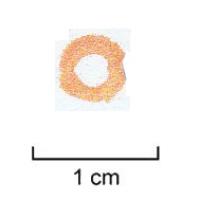 PRL-3530 - Perle annulaire gracileverreTPQ : -250 - TAQ : -200Perle annulaire (H. < D. ext.) gracile (D. perforation > D. section), unie, en verre jaune, diamètre de l'ordre de 4 à 7 mm.