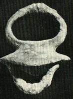 AJG-4035 - Anneau de jougbronzeAnneau coulé sur une bélière en fer, limité vers le bas par une moulure, posé sur une plaque carrée aux angles légèrement redressés dans le plan de l'anneau ; au sommet, groupes de moulures de part et d'autre d'une nodosité.