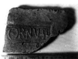 COV-4257 - Tuile estampillée CORNVTI